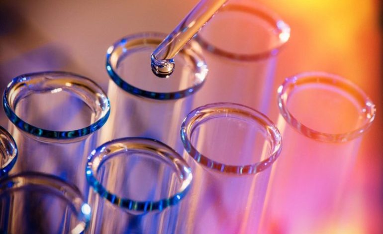  Top 5 Small-cap Biotech Stocks of 2025